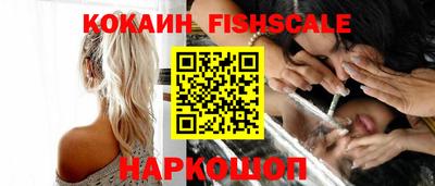 индика Ставрополь
