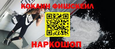индика Ставрополь