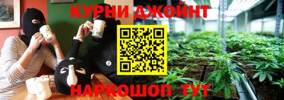 индика Ставрополь