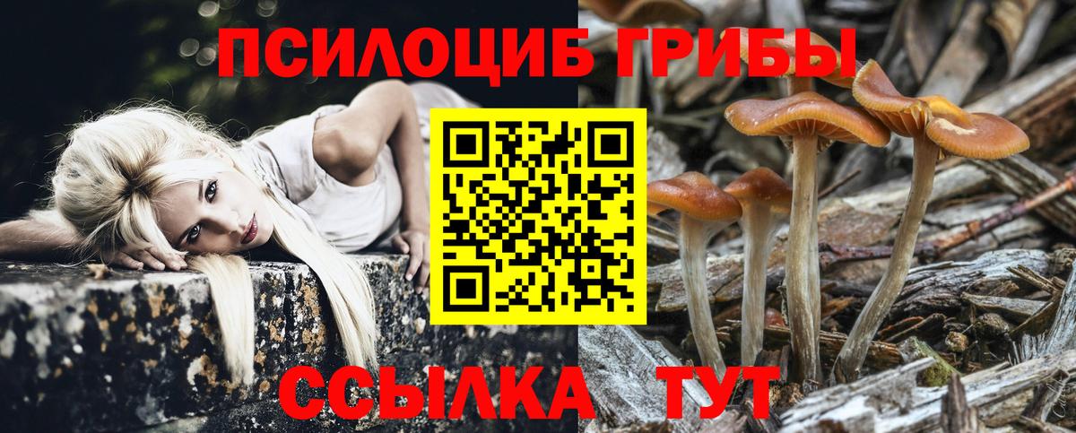 Богданович  Псилоцибиновые грибы ЛСД  Вход с VPN 