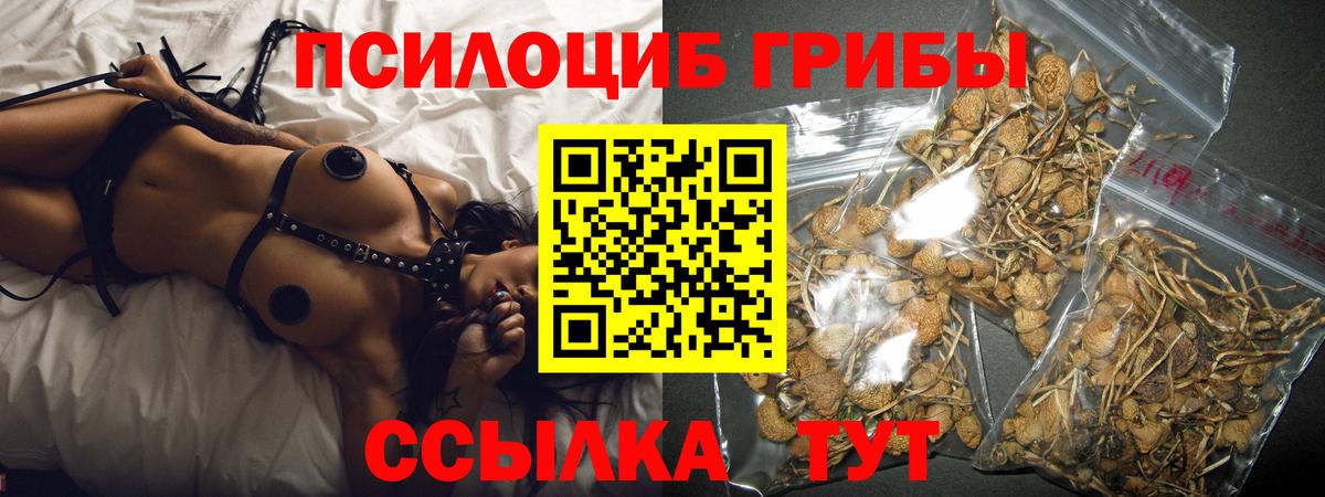 Галлюциногенные грибы ЛСД Богданович